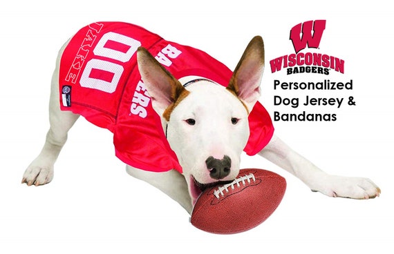 wisconsin badgers dog jersey