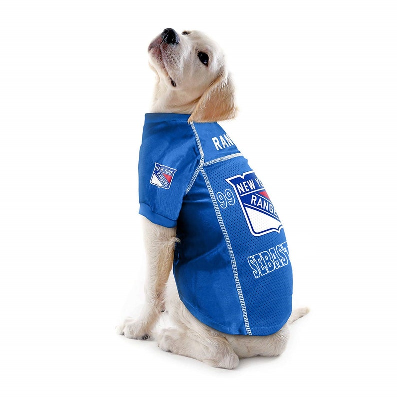 rangers dog jersey