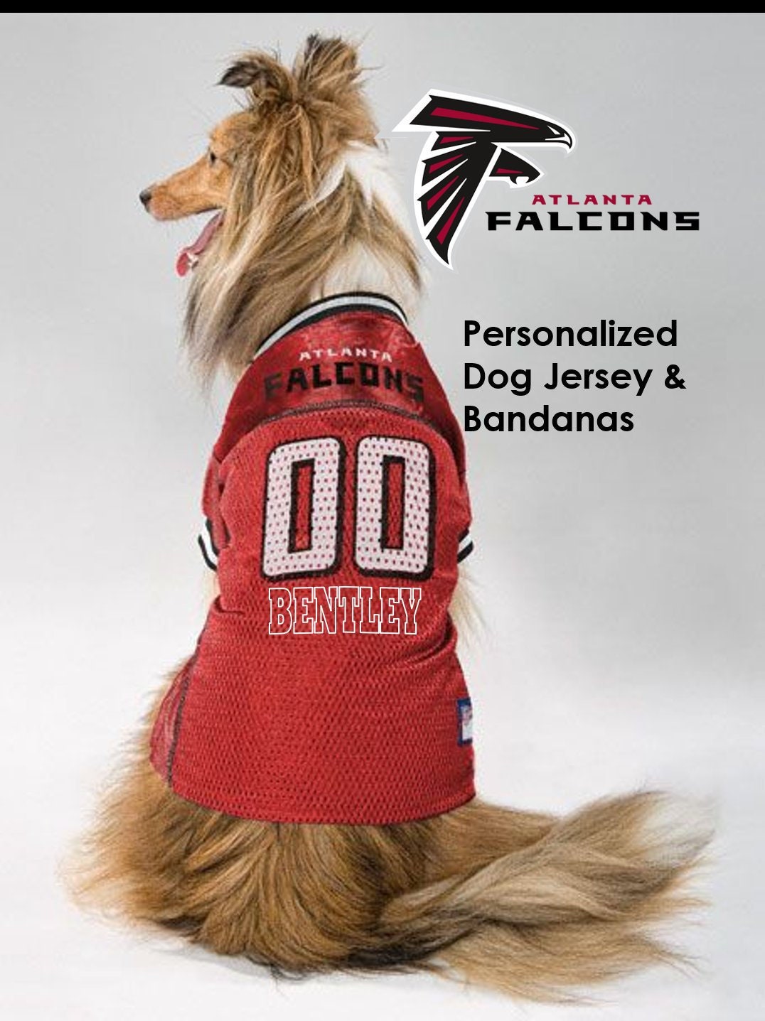 Atlanta Falcons Pet Dog Jersey 
