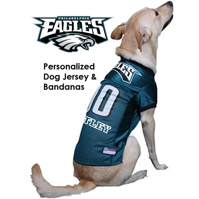 falcons dog jersey