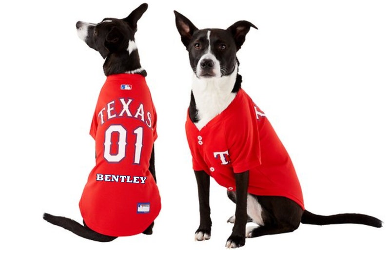 texas rangers dog jersey