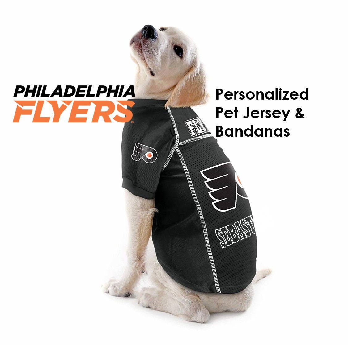 philadelphia flyers pet jersey
