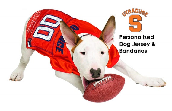 dog football jerseys personalized