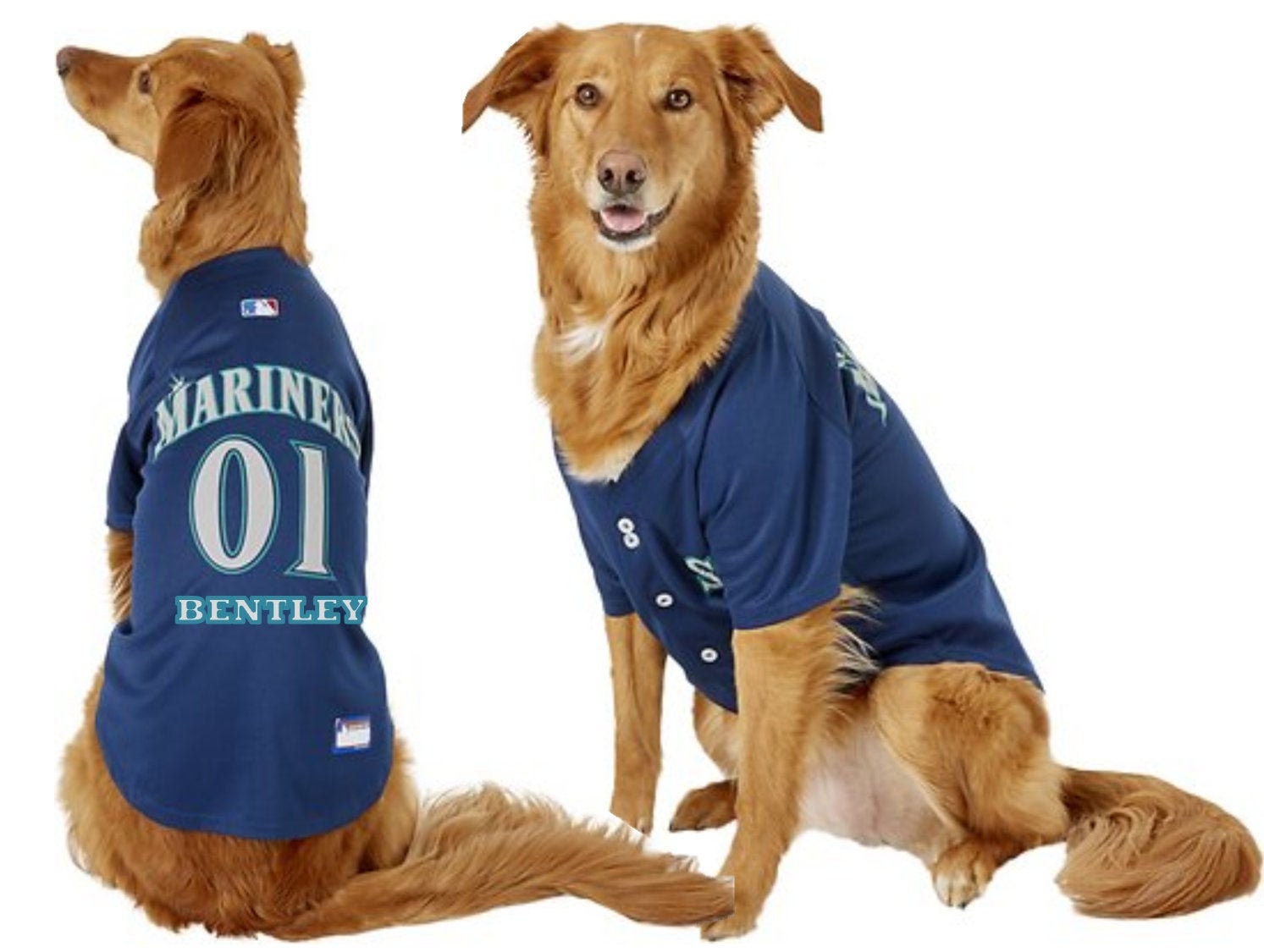 mariners dog jersey