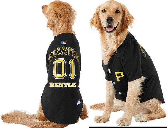 pittsburgh pirates dog jersey