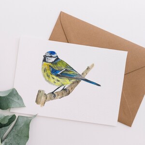 Carte de voeux aquarelle A6 oiseau mésange bleue / carte vierge / impression aquarelle originale / impression bleue