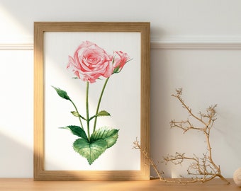 Edizione limitata A4 Rose Art Print / Pink Rose Print / Wildlife Painting / Stampa acquerello originale / Stampa giclée