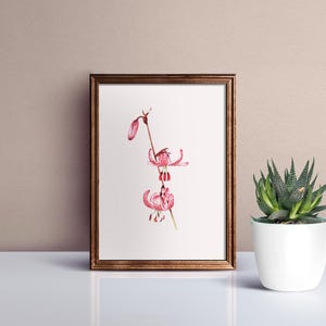 Stampa artistica di gigli martagoni in formato A4 in edizione limitata / Dipinto di animali selvatici / Stampa acquerello originale / Stampa giclée