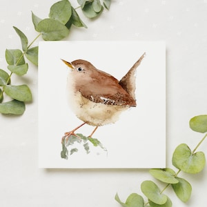 Carte de voeux troglodyte / carte de voeux oiseau britannique / carte vierge / impression aquarelle originale