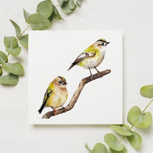 Cartão de felicitações Goldcrest / arte da vida selvagem em aquarela / cartão em branco / impressão original em aquarela