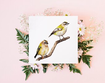 Goldcrest greeting card / watercolour wildlife art / blank card / original watercolour print