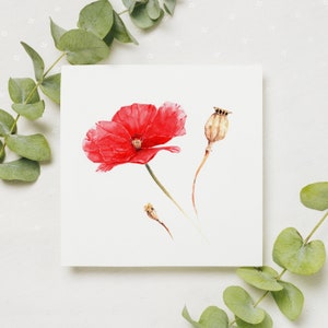 Poppy greetings card / August birth flower / watercolour art / blank card /  square fine art card