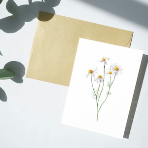 A6 Grußkarte Kamille / botanische Kunst / Blankokarte / Heilpflanzen / schöne Kunst Karte