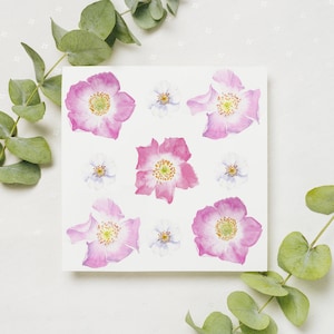 Biglietto d'auguri Native British Roses / Rose britanniche / Arte della fauna selvatica ad acquerello / Biglietto vuoto / Stampa originale ad acquerello