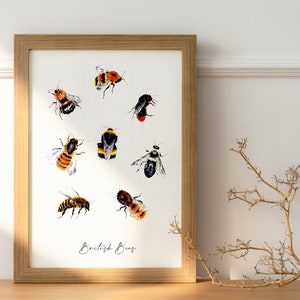 A4 British Bees Stampa artistica / Illustrazione della fauna selvatica / Stampa ad acquerello originale