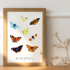 A4 British Butterflies Stampa artistica / Illustrazione della fauna selvatica / Stampa ad acquerello originale
