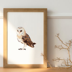 Edizione limitata A4 Owl Art Print / Wildlife Painting / Stampa acquerello originale / Stampa giclée