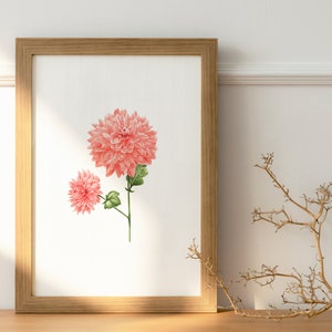 Edizione limitata A4 Chrysanthemum Art Print / Stampa botanica / Pittura della fauna selvatica / Stampa acquerello originale / Stampa giclée