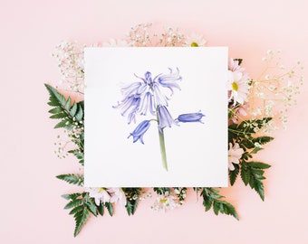 Bluebells greetings card / watercolour art / blank card /  square fine art card