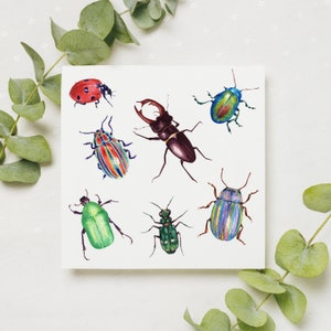 Biglietto d'auguri British Beetles / arte della fauna selvatica ad acquerello / biglietto vuoto / stampa originale ad acquerello
