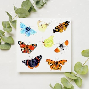 Biglietto di auguri British Butterflies / arte della fauna selvatica ad acquerello / biglietto vuoto / stampa originale ad acquerello