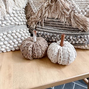 May include: Two knitted pumpkins, one brown and one white, with wooden stems, sitting on a light brown wooden surface.