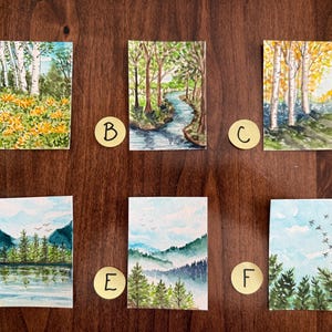 May include: Six small watercolor paintings of nature scenes. The paintings depict forests, trees, and landscapes in various styles. The color palettes include greens, blues, and yellows. Each painting is labeled with a letter from A to F.