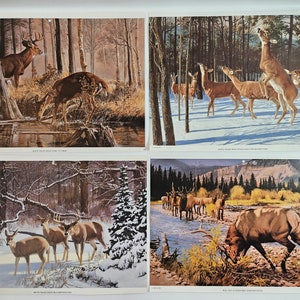 May include: Four vintage prints of deer and elk in a snowy forest setting. The prints are titled "Deer 11", "Deer 12", "Deer 13", and "Elk 1".