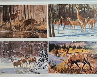 vtg Wildlife Painting Print for framing, 10 x 14 inches // Tom Beecham artist, 1926-2000 // many choices, many animals, waterfowl, bear etc