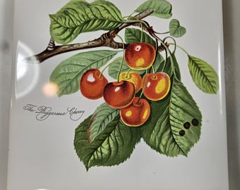 vtg Portmeirion ceramic and wood trivet, The Biggarreux Cherry // 7.25 x 6 inches