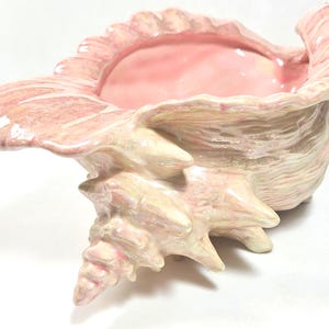 May include: A ceramic bowl shaped like a conch shell with a glossy finish. The exterior features a textured, ridged surface in shades of pale pink and cream, while the interior is a smooth, solid light pink. The shell has a wide, flared opening.