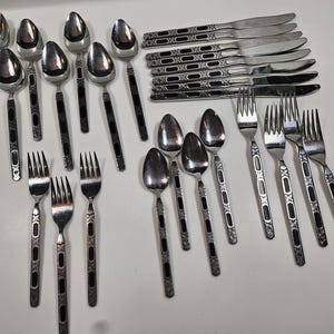 26-piece lot, vtg Riviera Cubelero Flatware // Stainless Steel with Black Accents & Etched Flower