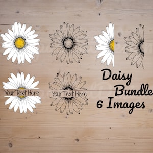 May include: A digital daisy bundle featuring six images. The images include full and half daisy designs, some with text boxes. The daisies have white petals and yellow centres, with black outlines. The text reads "Daisy Bundle 6 Images."