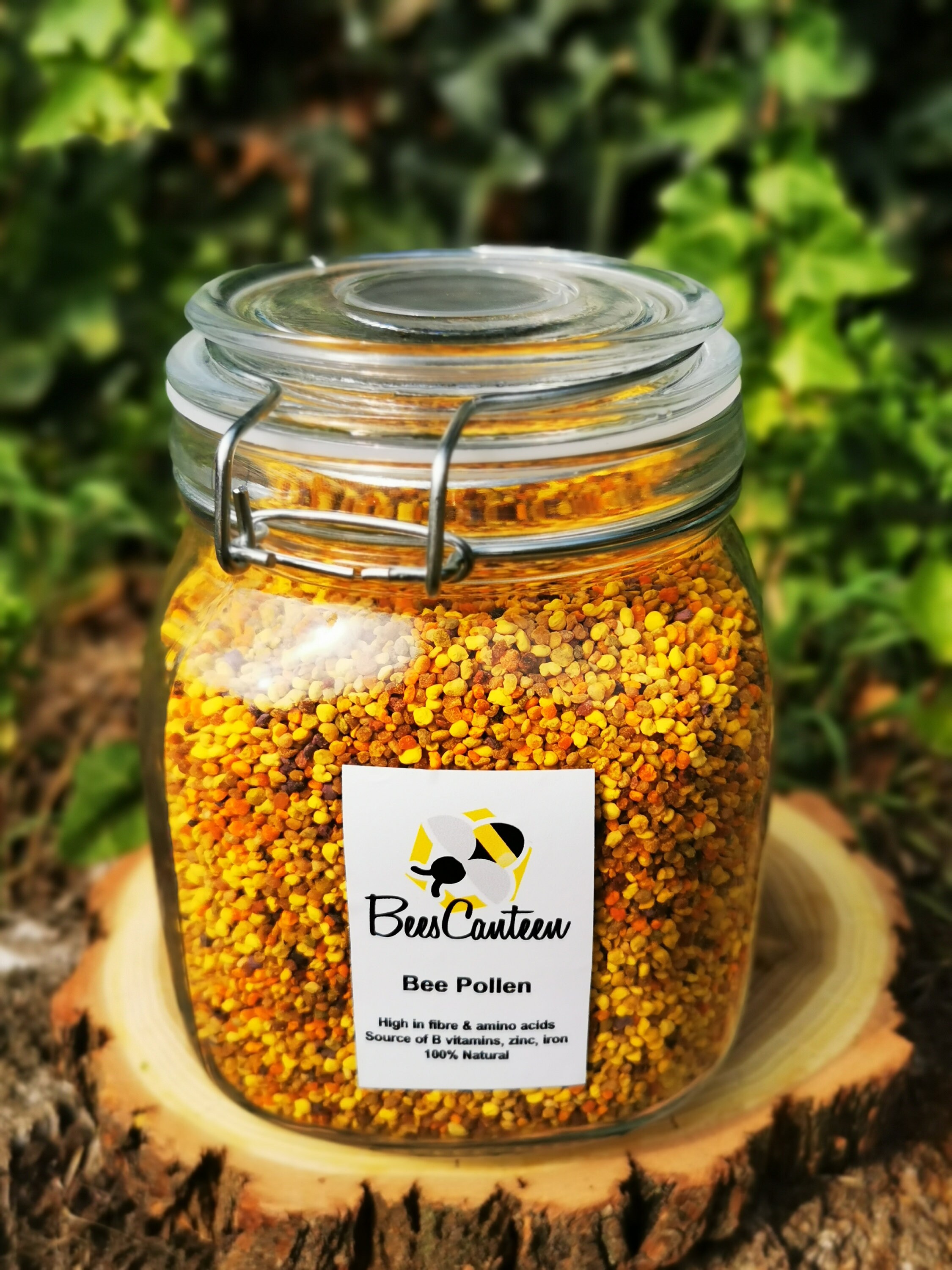 Pure Natural Bee Pollen 1/2 Pound Jar