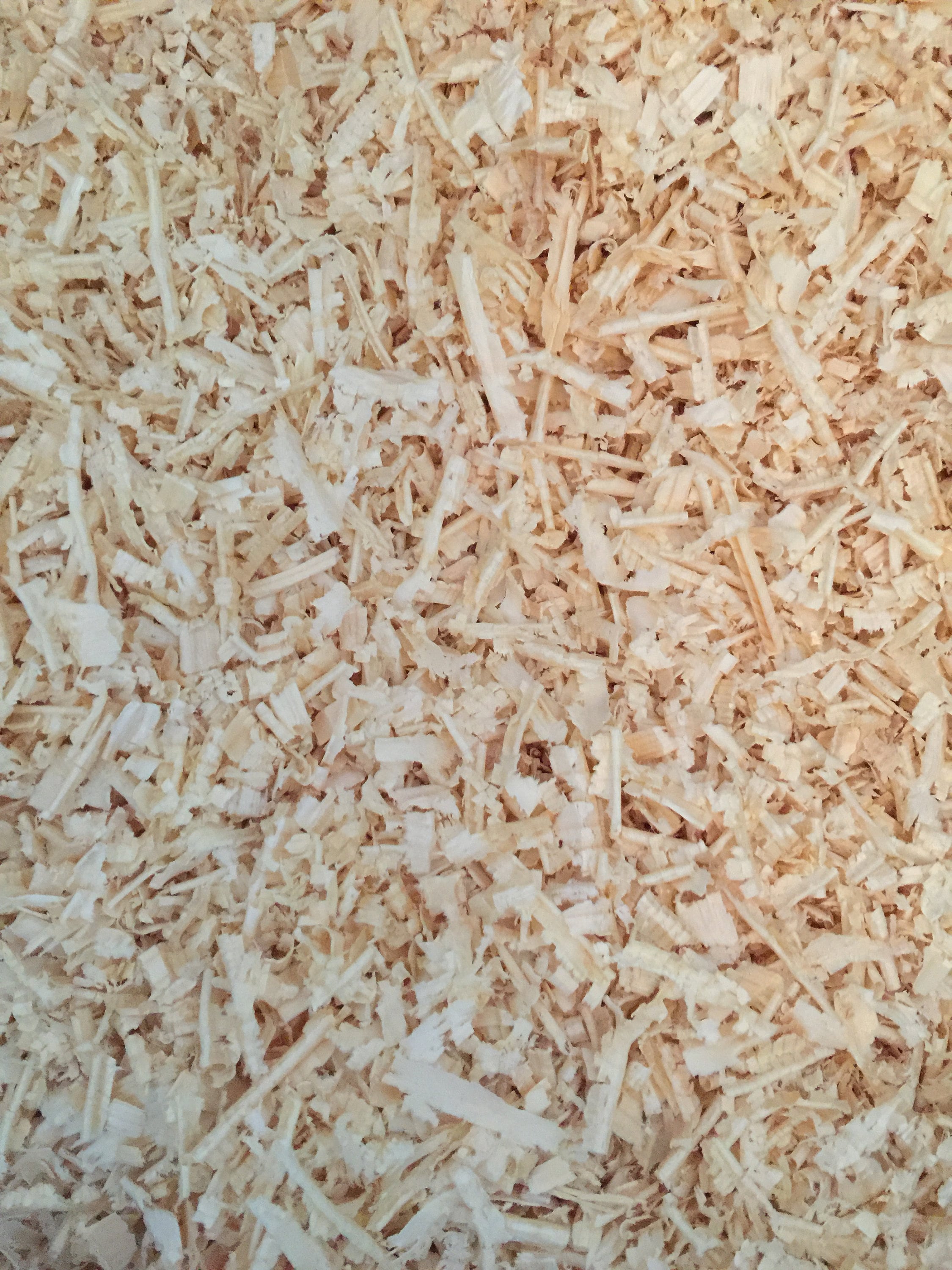 Bulk Pine Wood Shavings Saw Dust Kiln Dried Clean Pure Natural Etsy