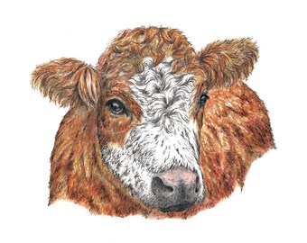 Cow Art Print