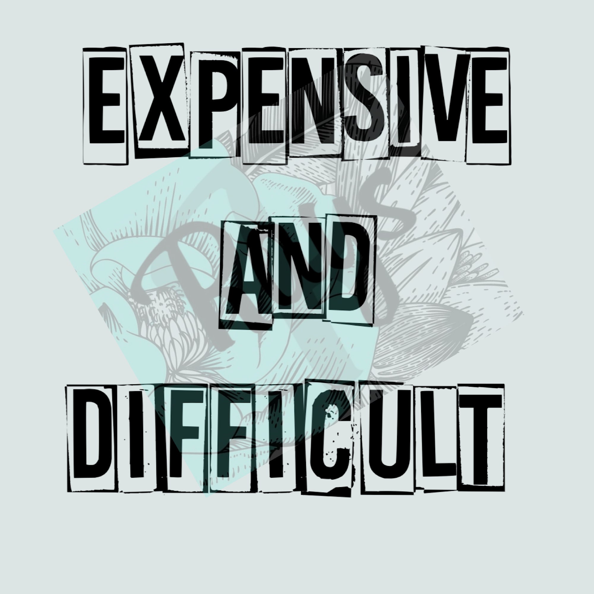Expensive and Difficult PNG Etsy