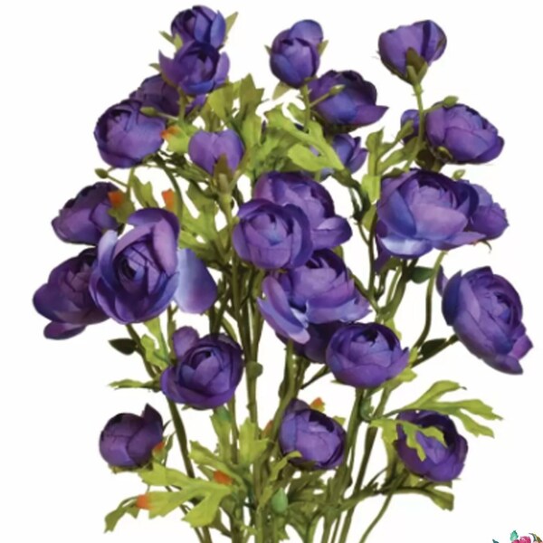 Silk Ranunculus Etsy