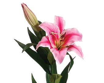 35" Stargazer Lily Spray, Pink Rubrum, Faux Lilies, Artificial Bridal Bouquet, Fake Plant, Silk Flowers, Floral Stem, Oriental Lilium