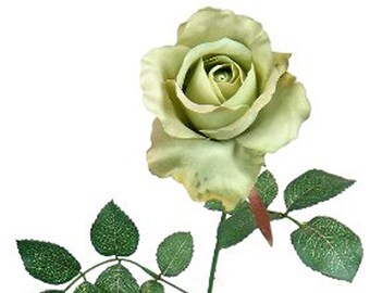 Green Silk Roses Etsy