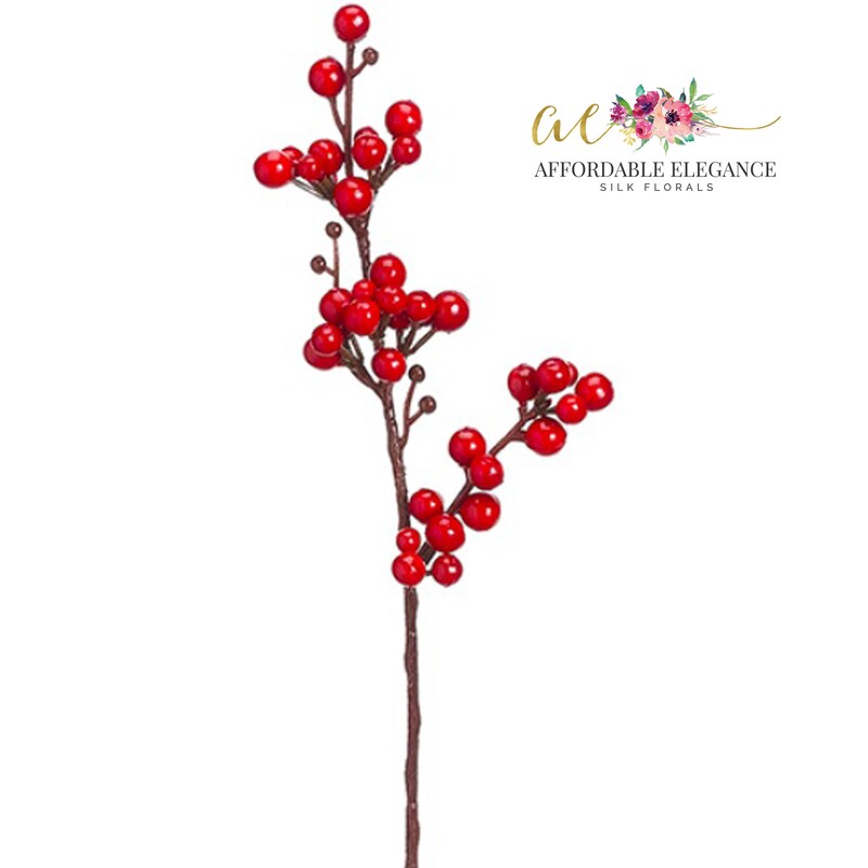 Red Raspberry Stems Winter Red Berry Stems - Etsy