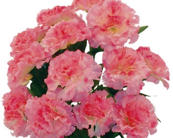 17" Faux Light Pink Carnation Bush, 14 Heads, Long Stems, Artificial Fake, Silk Flowers, Wedding, Dianthus Caryophyllus, Baby Girl Pink