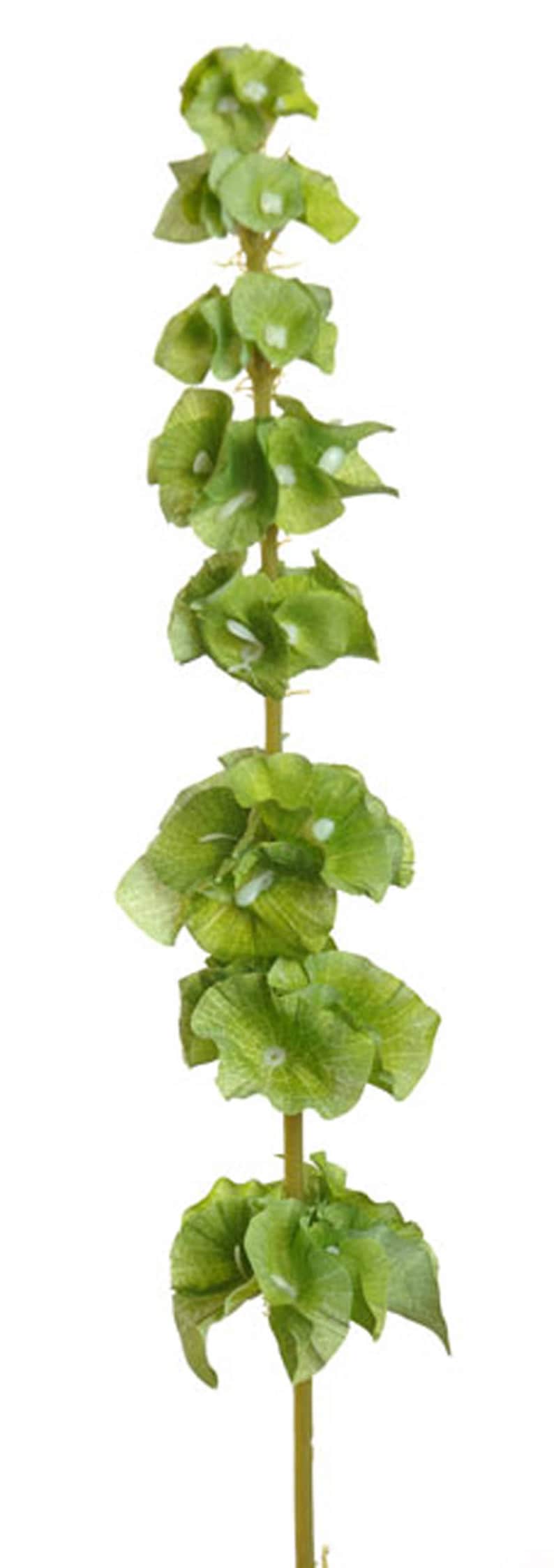 Artificial Bells of Ireland Sprays Faux Irish Flowers St Etsy