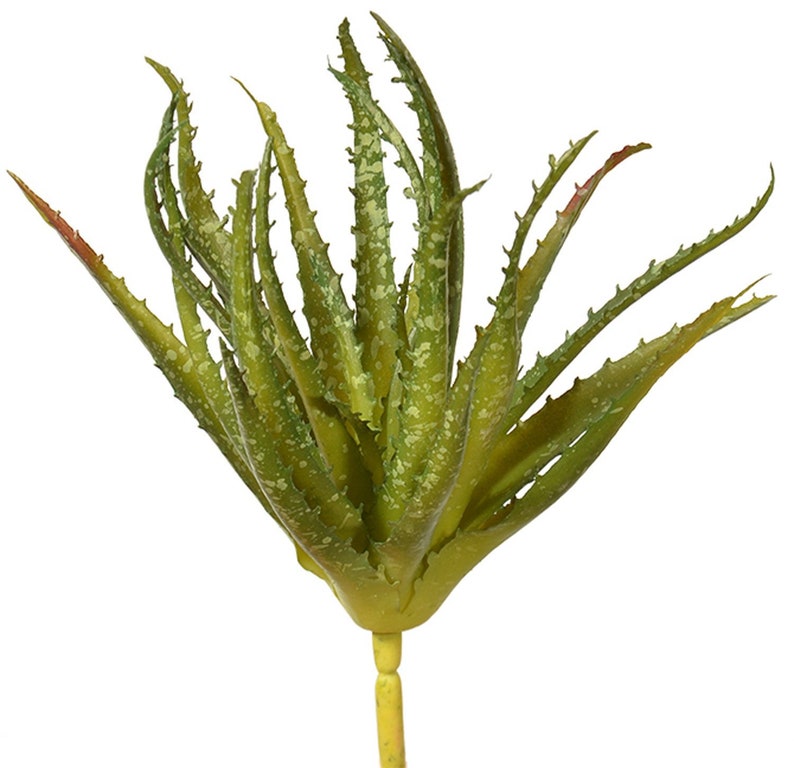 Real Touch Artificial Aloe Vera Succulent Plant Faux Aloe Etsy