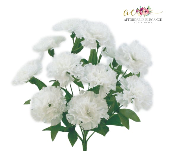 Claveles Blancos Jose Basso Claveles Blancos Blue Sounds