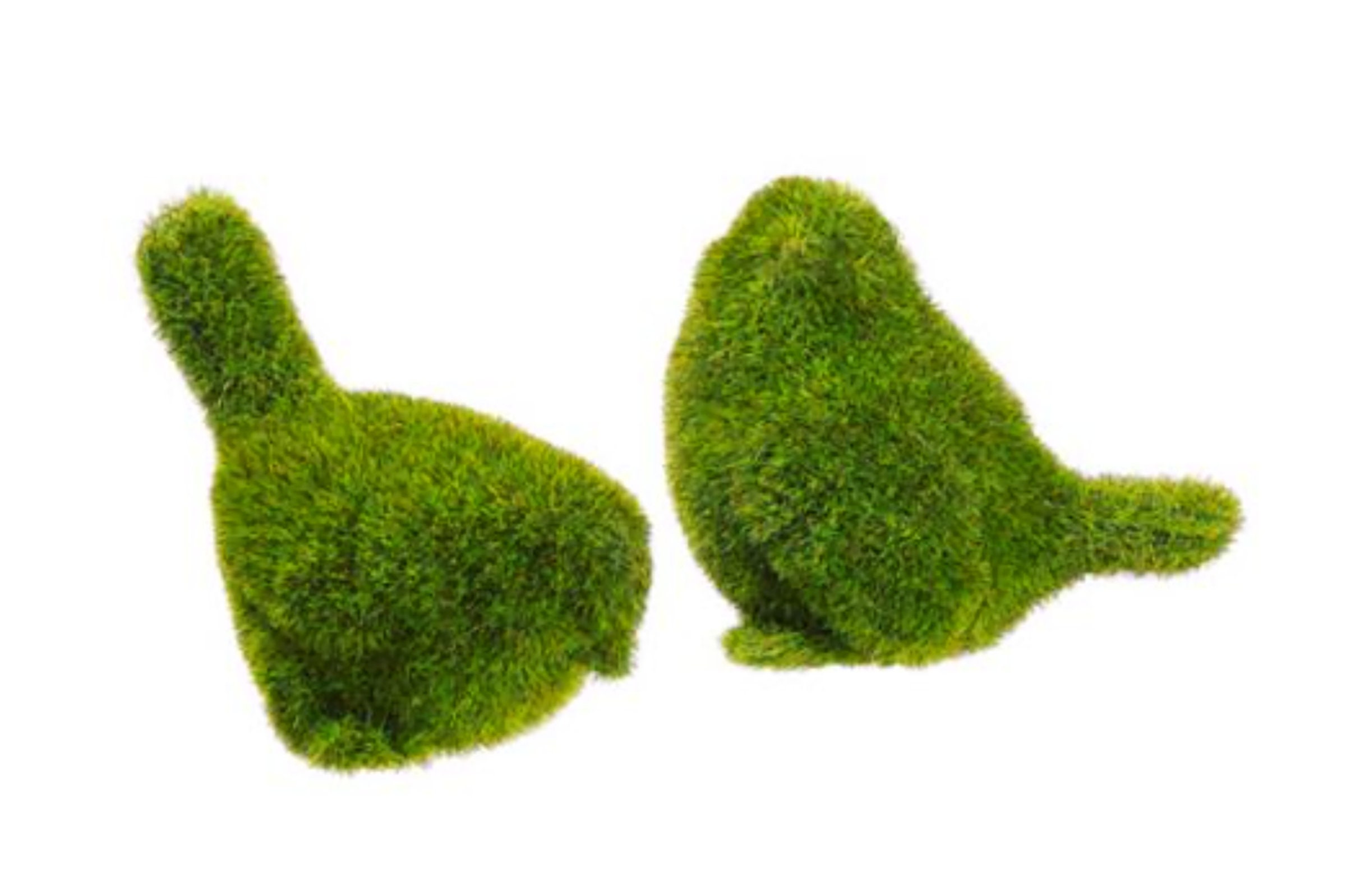 USMOLA Artificial Moss, 16OZ Fake Moss for Crafts, Decorative Moss for  Table Centerpieces Fairy Garden Wedding Party Decor, Faux Moss for Potted