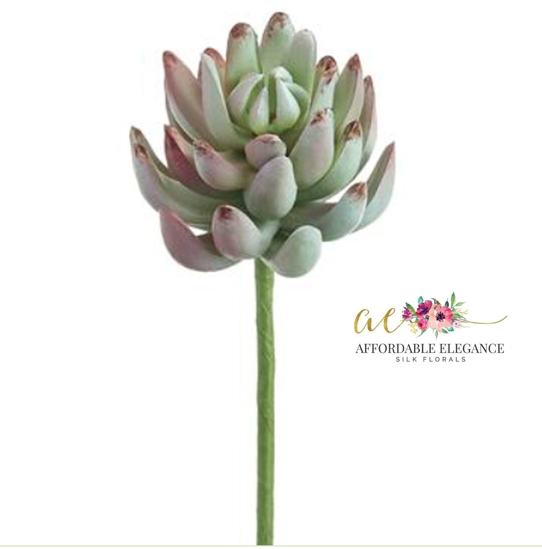 Green Pink Senecio Pick Artificial Succulent Real Touch Etsy
