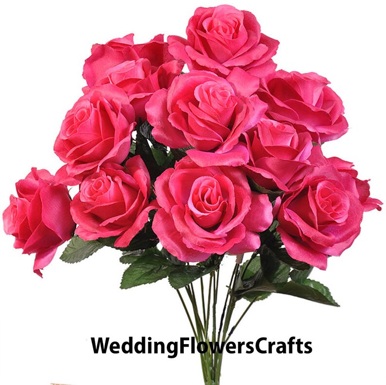 12 Fuchsia Open Roses Long Stem Pink Roses Rose Bouquet Etsy