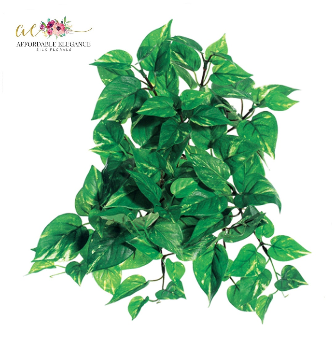 12 Artificial Hanging Pothos Bush, Greenery, Houseplant, Minimalist