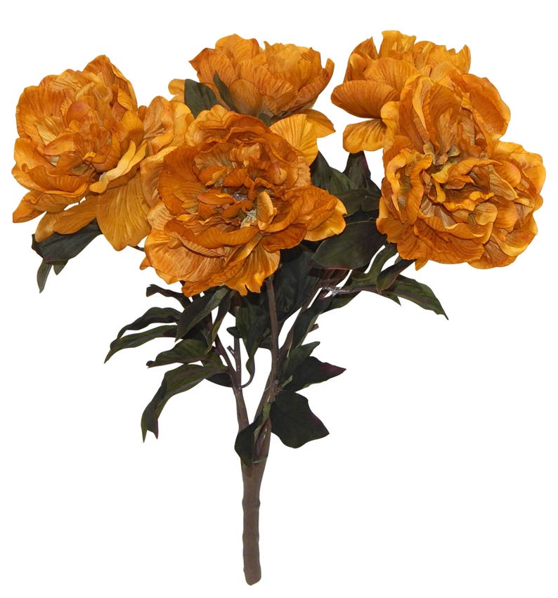 5 Gold Yellow Artificial Peonies 22 Peony Bush Long Etsy